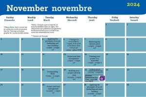 A November 2024 calendar highlighting weekly training sessions from Sunday to Saturday. Sessions include topics like team building, project management, and productivity. Some notes mention online components and specific times.